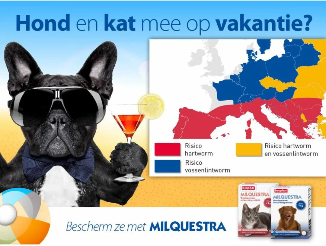Beaphar Milquestra Kattenontwormer 2 tabletten - 64ml