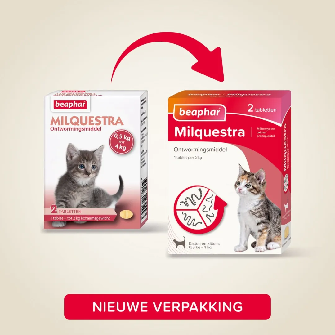 Beaphar Milquestra Kattenontwormer 2 tabletten - 64ml