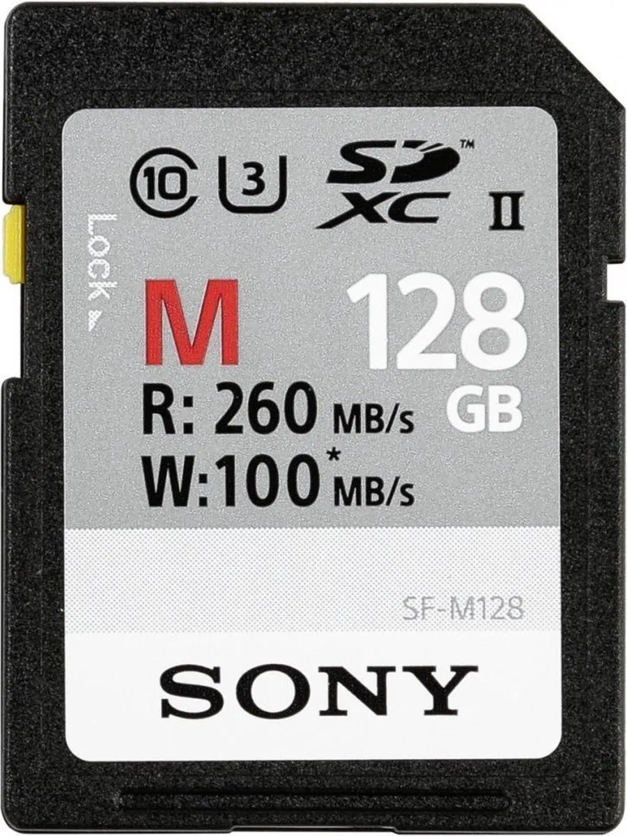 Sony Professional SD Card SFG1M 128GB