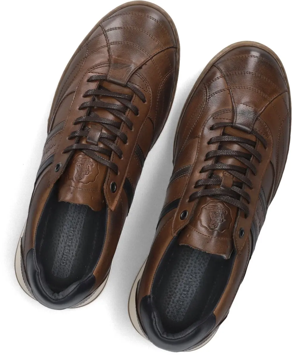 Cycleur De Luxe New Crush Born Sneakers - Bruin - afbeelding 2 van 6