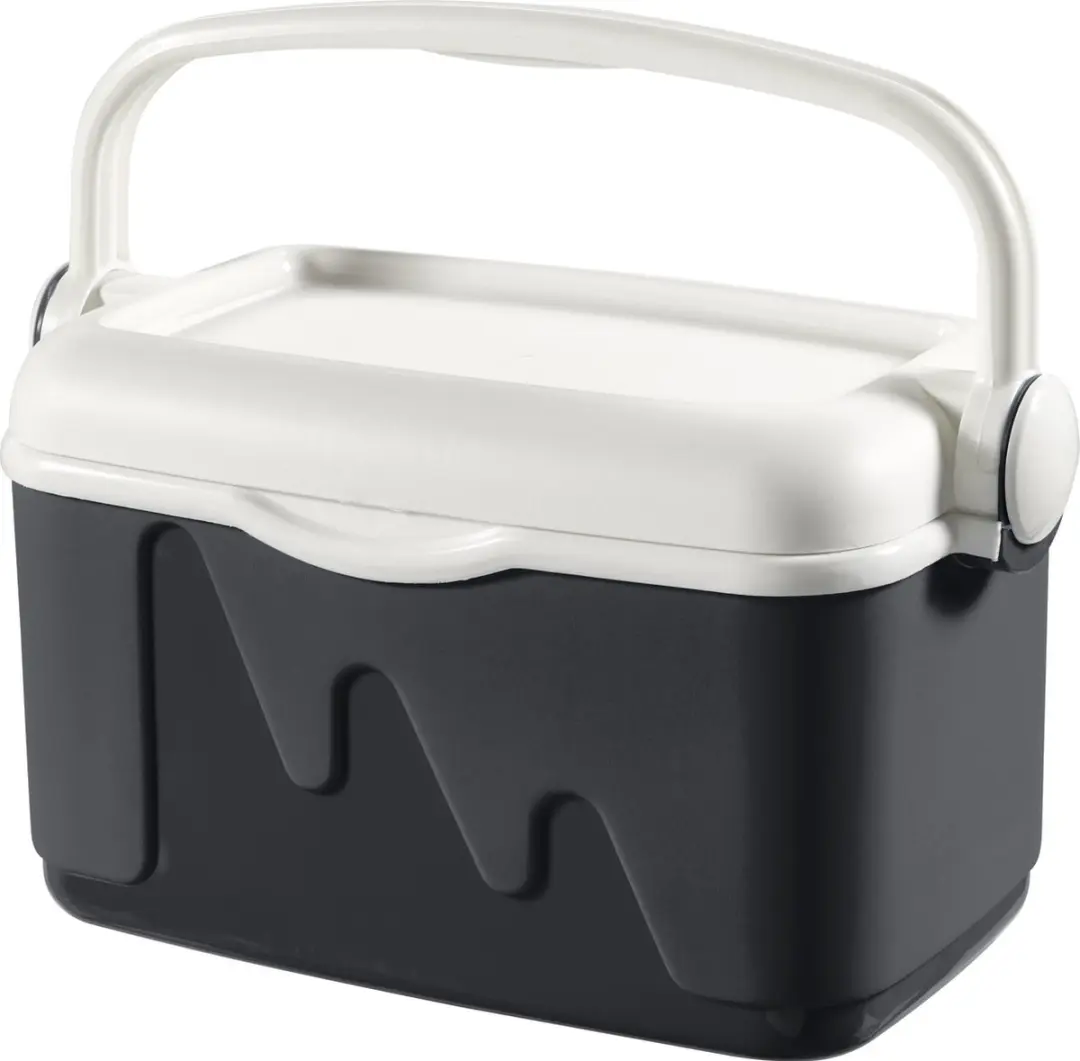 Curver Koelbox - 10L - Antraciet