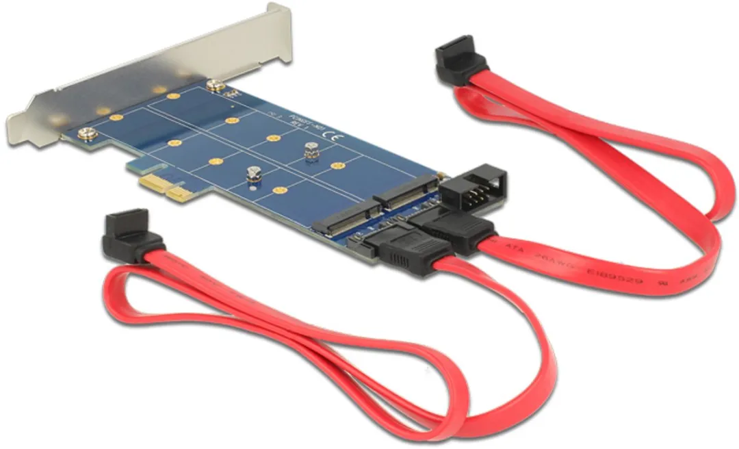 Delock PCIe Kaart 2x M.2 NGFF - Blauw