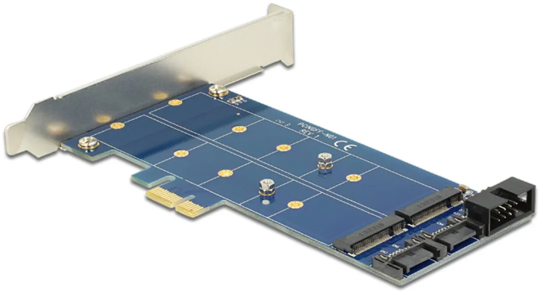 Delock PCIe Kaart 2x M.2 NGFF