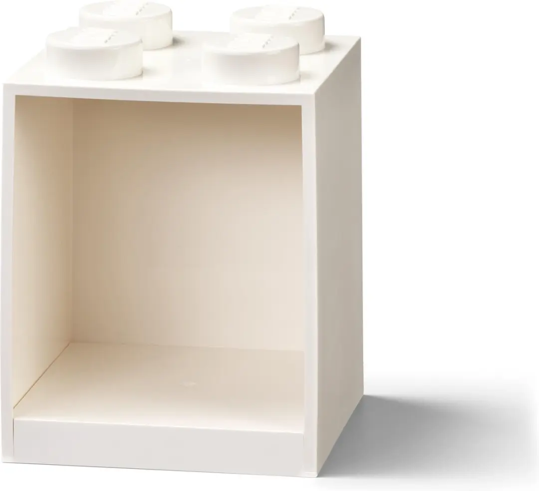 LEGO Iconic Brick Boekenplank 4 Noppen