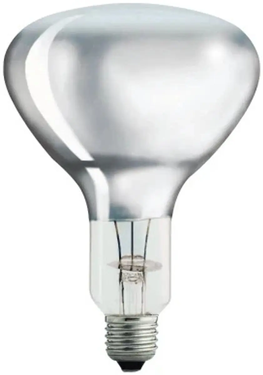 Philips BR125 Infraroodlamp E27 250W - Rood - afbeelding 3 van 6