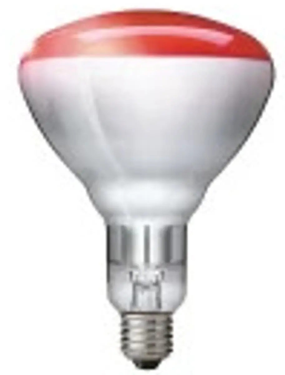 Philips BR125 Infraroodlamp E27 250W