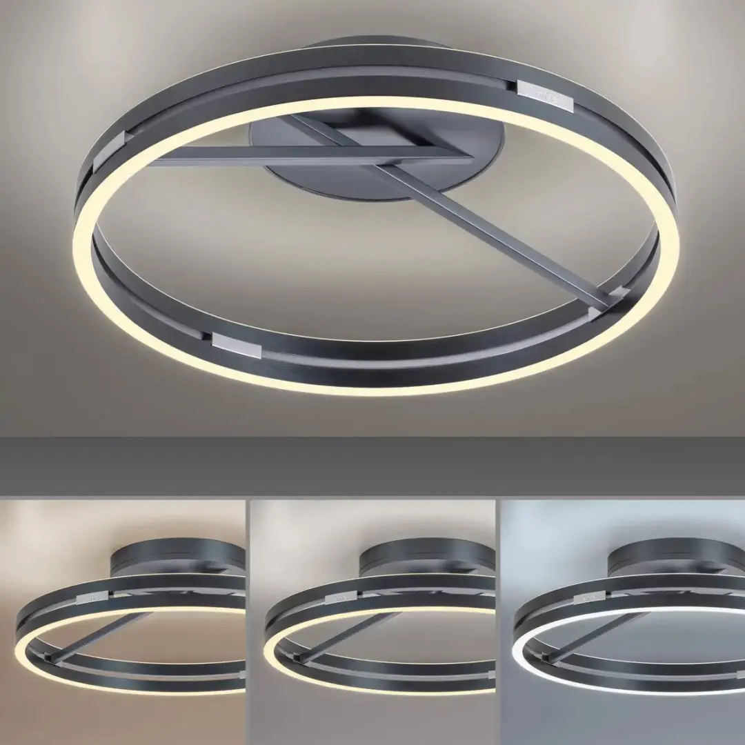 Paul Neuhaus PURE Loop Plafondlamp Ø60cm - Mystic Grey - afbeelding 2 van 6