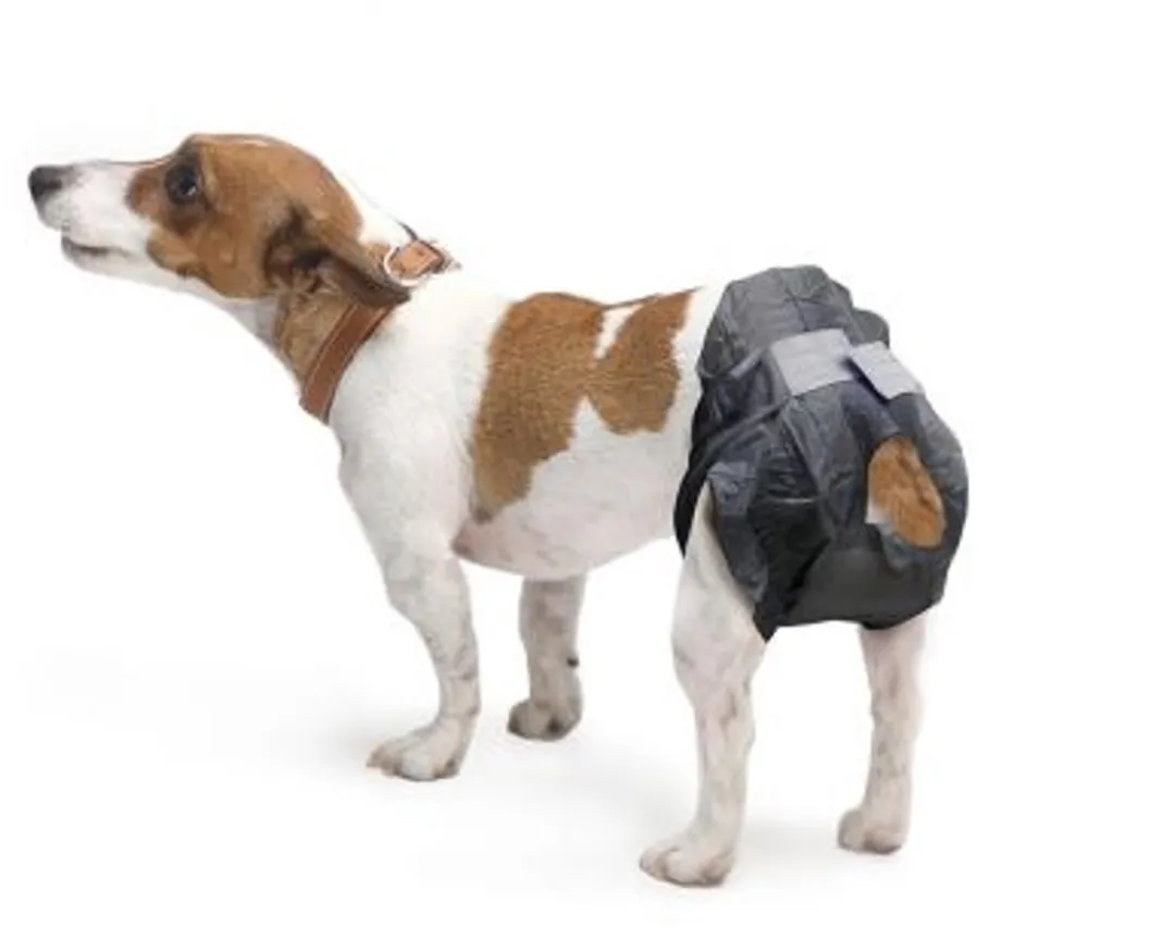 Savic Comfort Nappy Hondenluier Size 3 - 34-48cm - Zwart