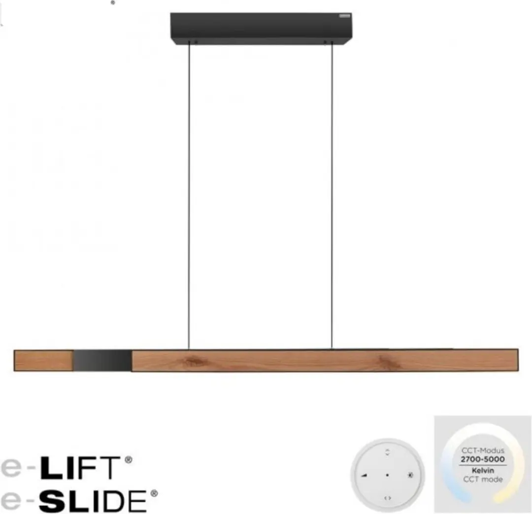 Paul Neuhaus PURE Moto-Rise 2545-79 Hanglamp
