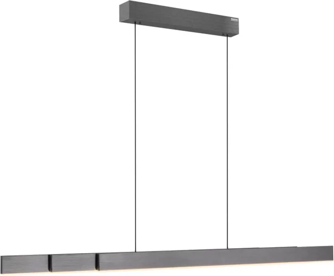 Paul Neuhaus PURE Moto-Rise 2545-15 Hanglamp