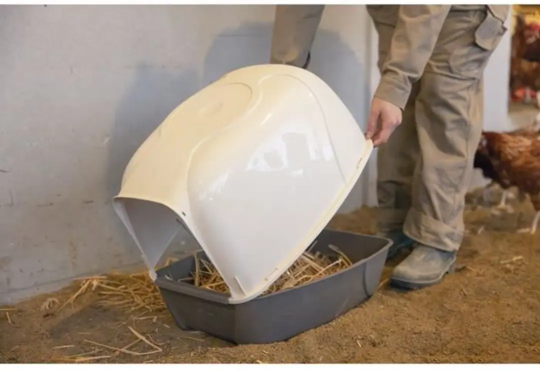 Kerbl Legnest voor Kippen 52x39x39cm - afbeelding 3 van 5