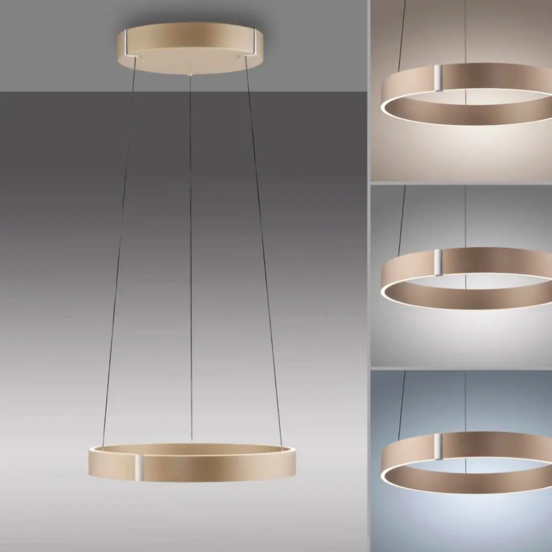 Paul Neuhaus PURE E-Clipse e-Lift Hanglamp Ø50cm - Champagne - afbeelding 2 van 6