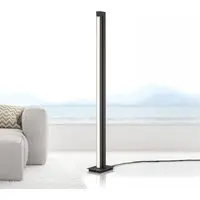 Paul Neuhaus Pure-Lines 421-13 Vloerlamp - Antraciet - afbeelding 2 van 3