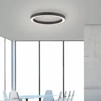 Paul Neuhaus Ronde vloerlamp Pure Lines Round Ø 50cm antraciet - afbeelding 2 van 3