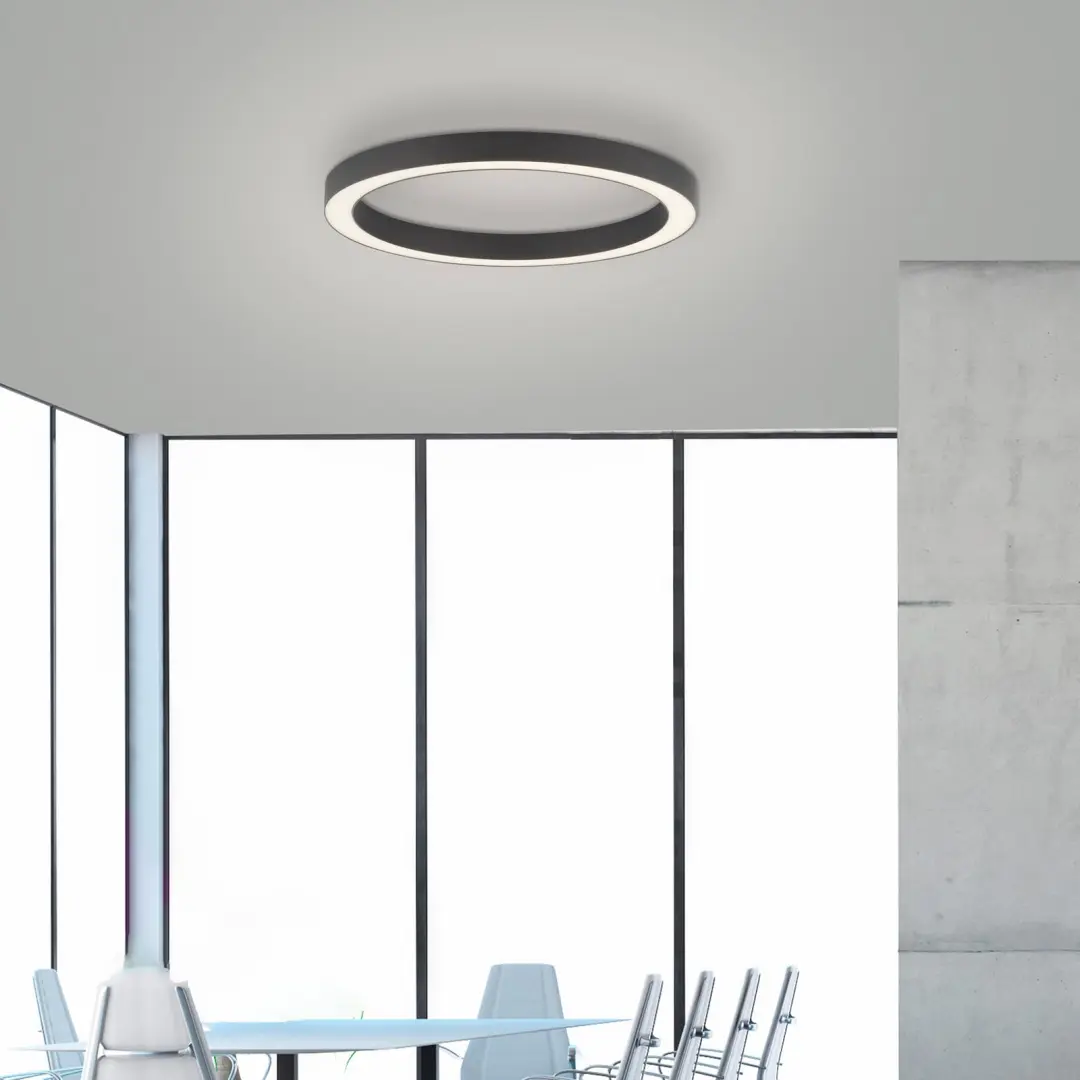 Paul Neuhaus Ronde vloerlamp Pure Lines Round Ø 50cm antraciet