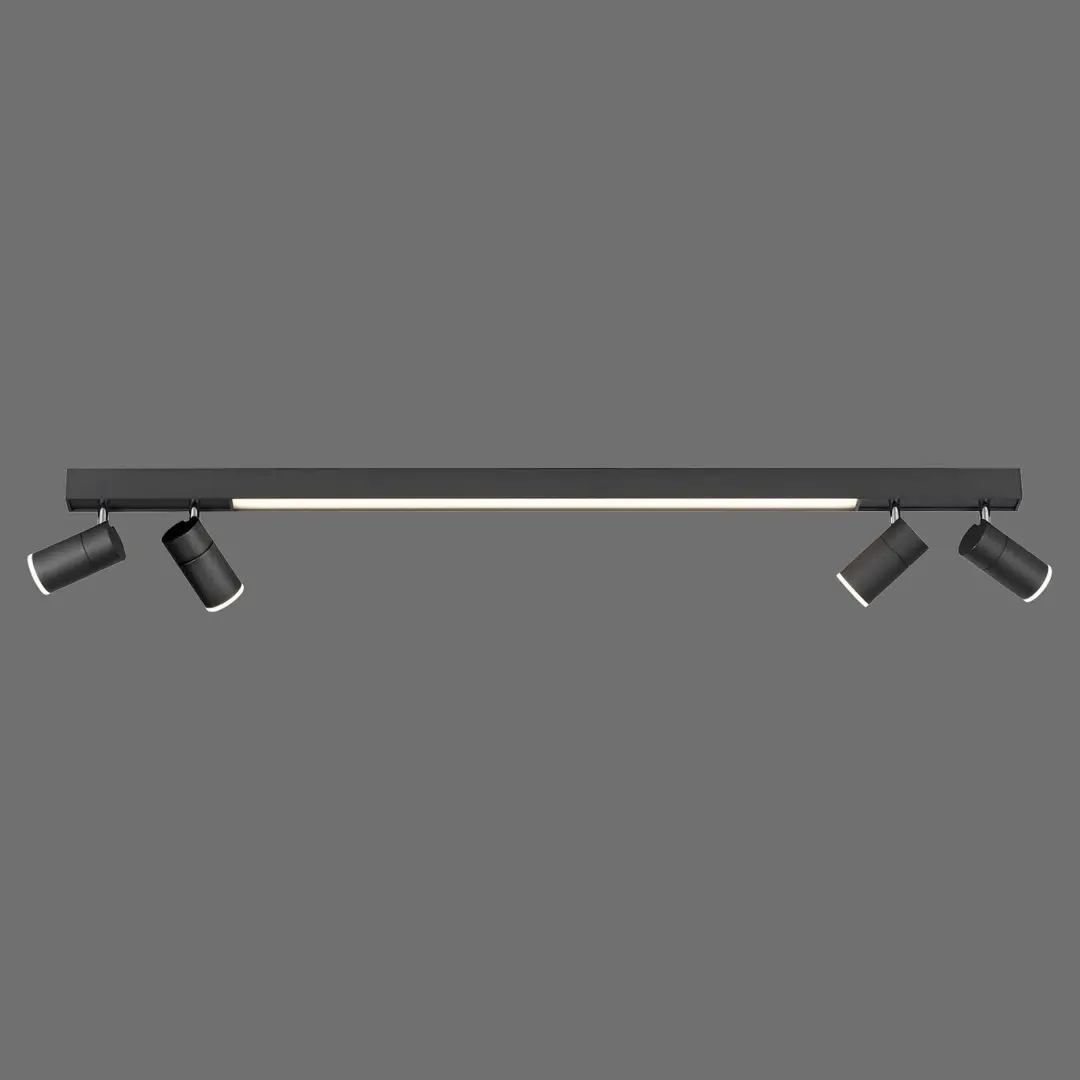 Paul Neuhaus PURE Lines Spot 6121-13 Plafondlamp
