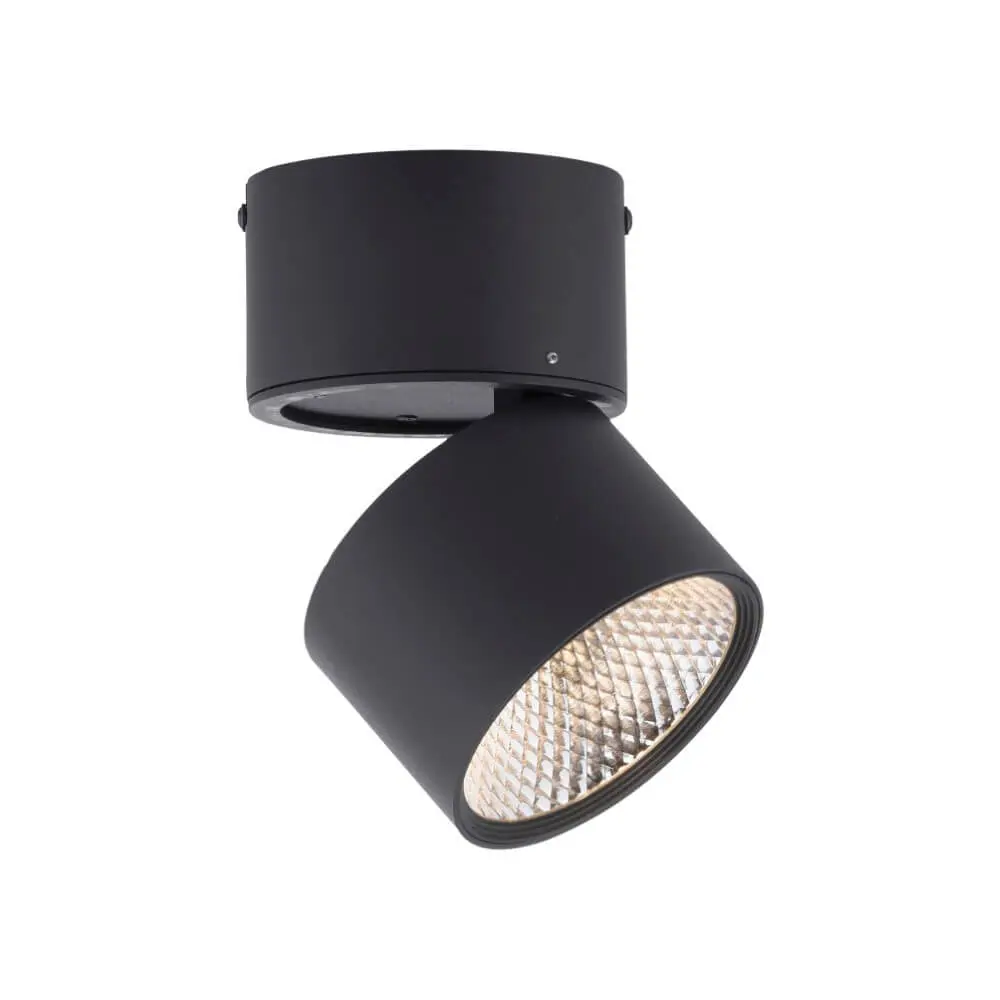 Paul Neuhaus Pure Nola 6451-18 Opbouwspot - Zwart - afbeelding 3 van 3