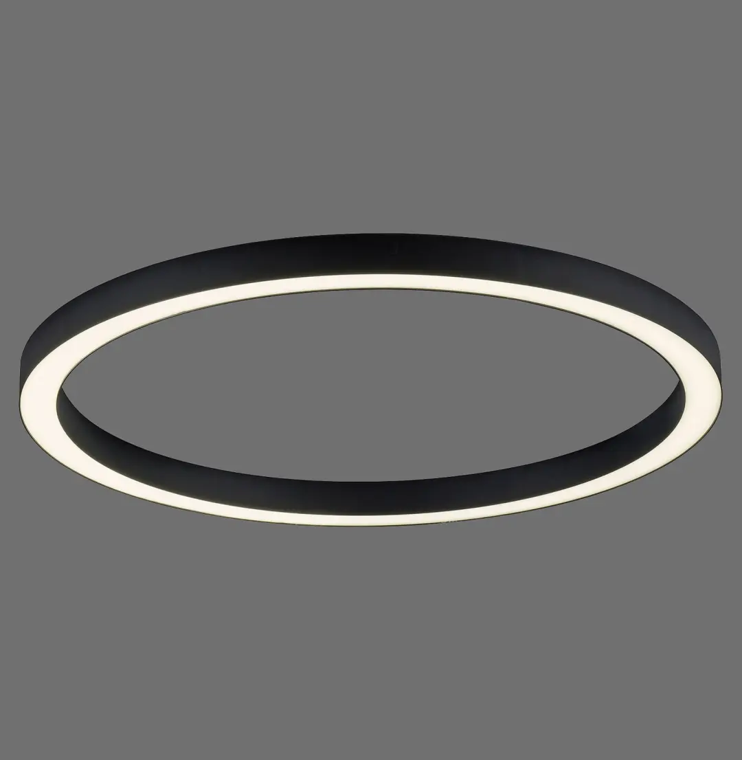 Paul Neuhaus Ronde vloerlamp Pure Lines Round Ø 70cm antraciet