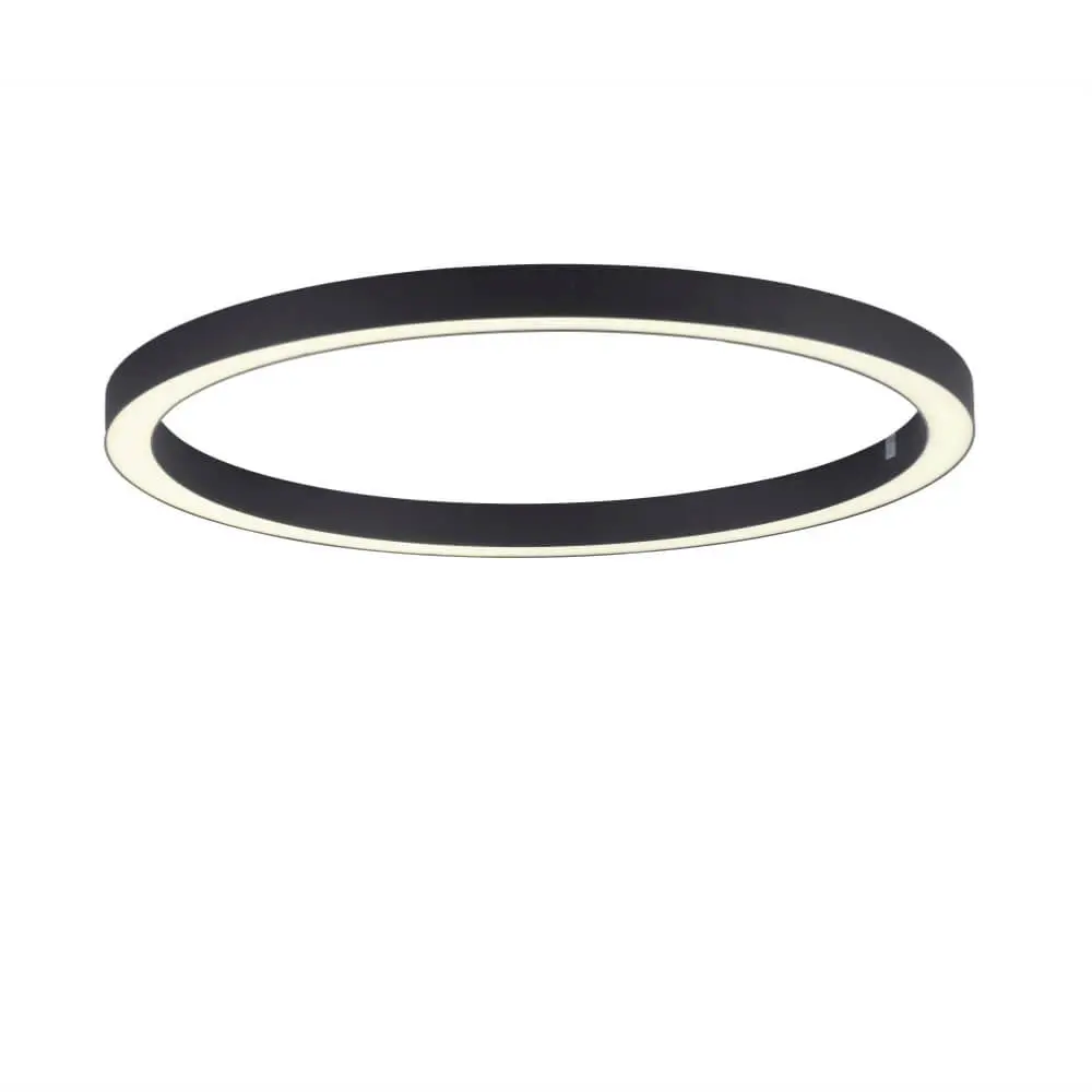 Paul Neuhaus Ronde vloerlamp Pure Lines Round Ø 70cm antraciet - afbeelding 3 van 3
