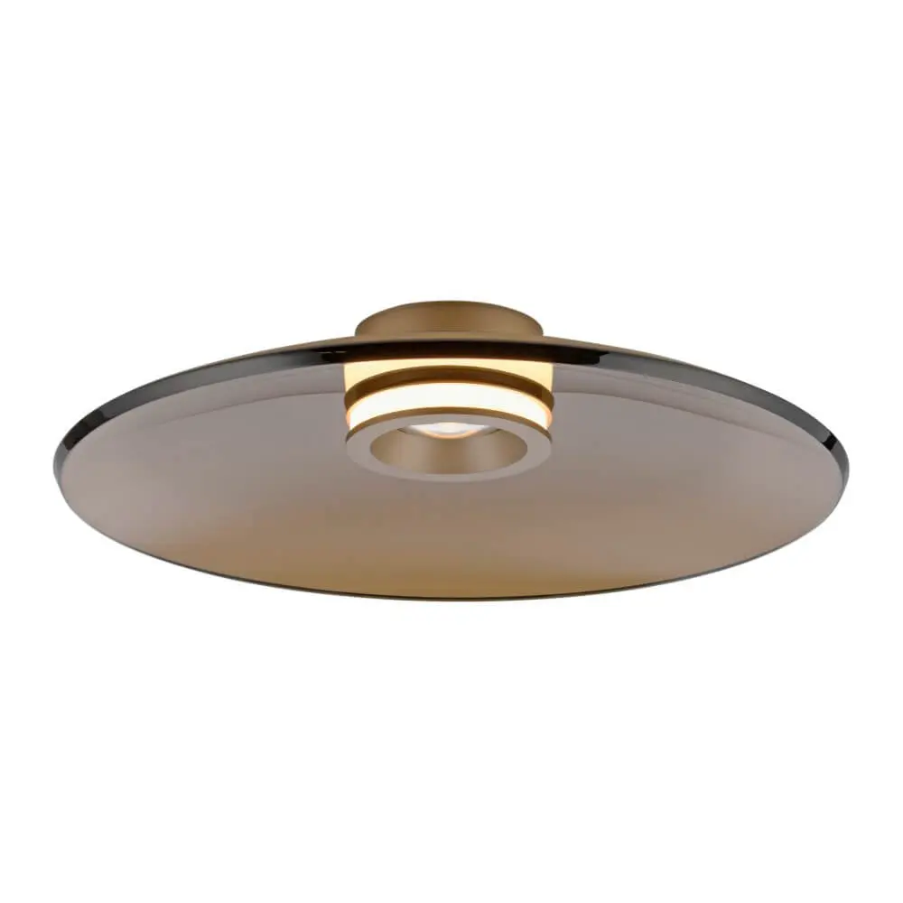 Paul Neuhaus PURE Moon 6095-97 LED plafondlamp - Brons - Ø50cm - afbeelding 3 van 3