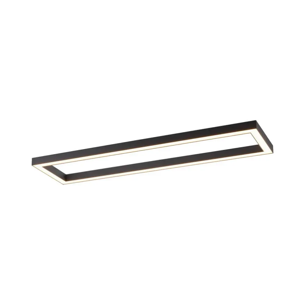 Paul Neuhaus Pure Lines 6023-13 LED Plafondlamp - Antraciet - afbeelding 3 van 3