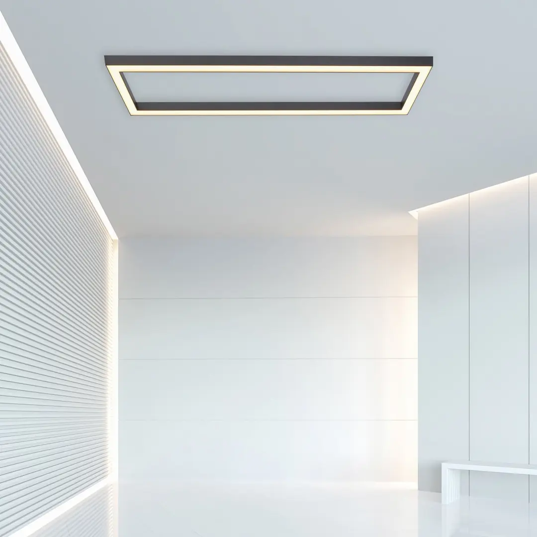 Paul Neuhaus Pure Lines 6023-13 LED Plafondlamp