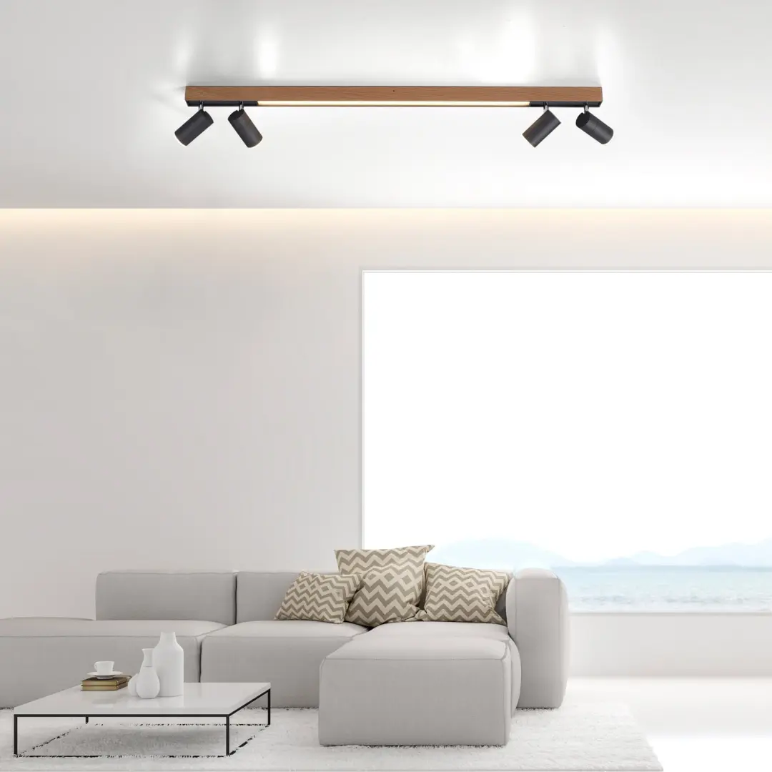 Paul Neuhaus Pure Lines Spot Plafondlamp 6121-79