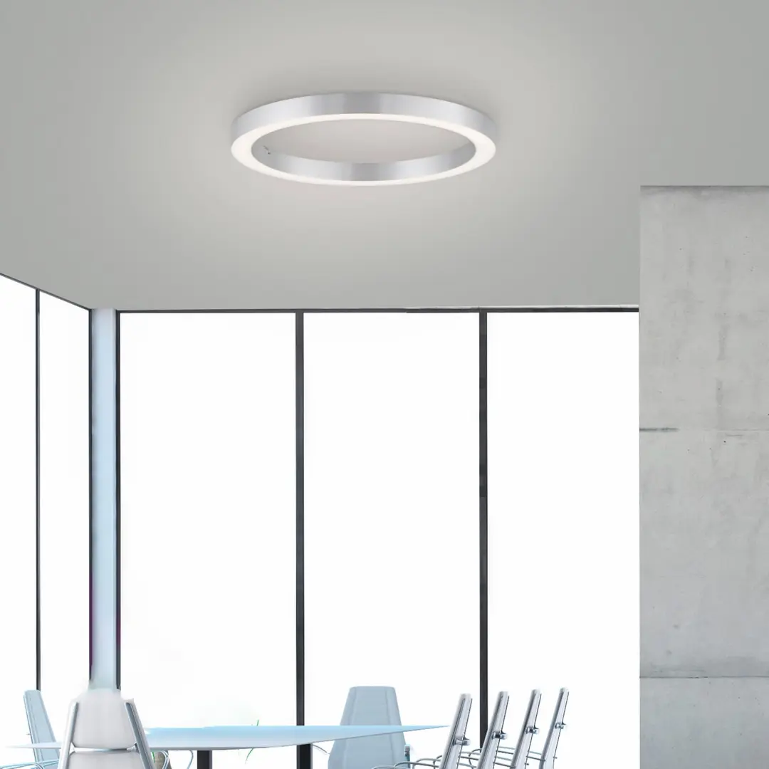 Paul Neuhaus Ronde vloerlamp Pure Lines Round Ø 50cm aluminium