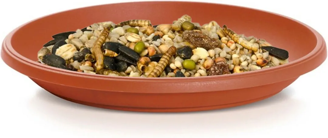 Prosperplast Vogelbad Terracotta Ø21cm