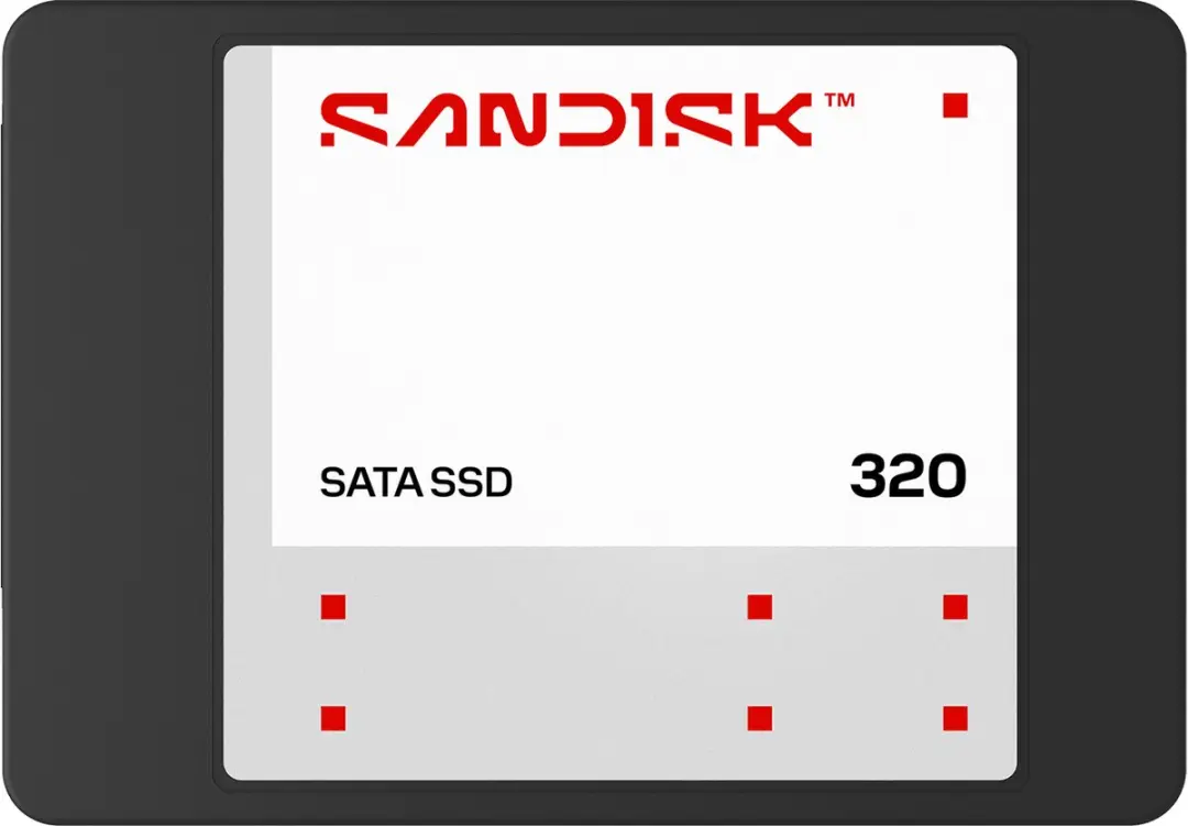 SanDisk 320 SDSS31250GBB-000G0 SSD