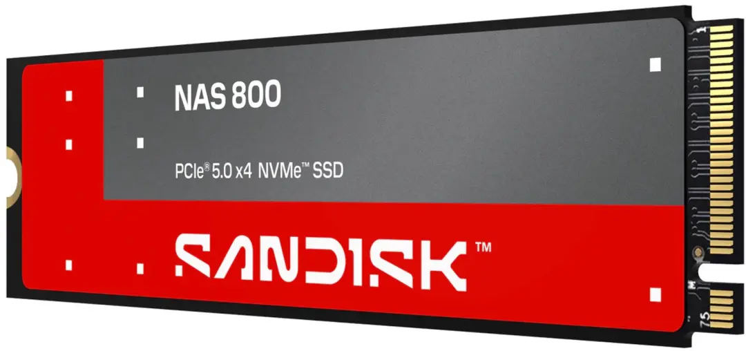 SanDisk NAS 800 SDSNP2960GAN-000E0 NVMe SSD