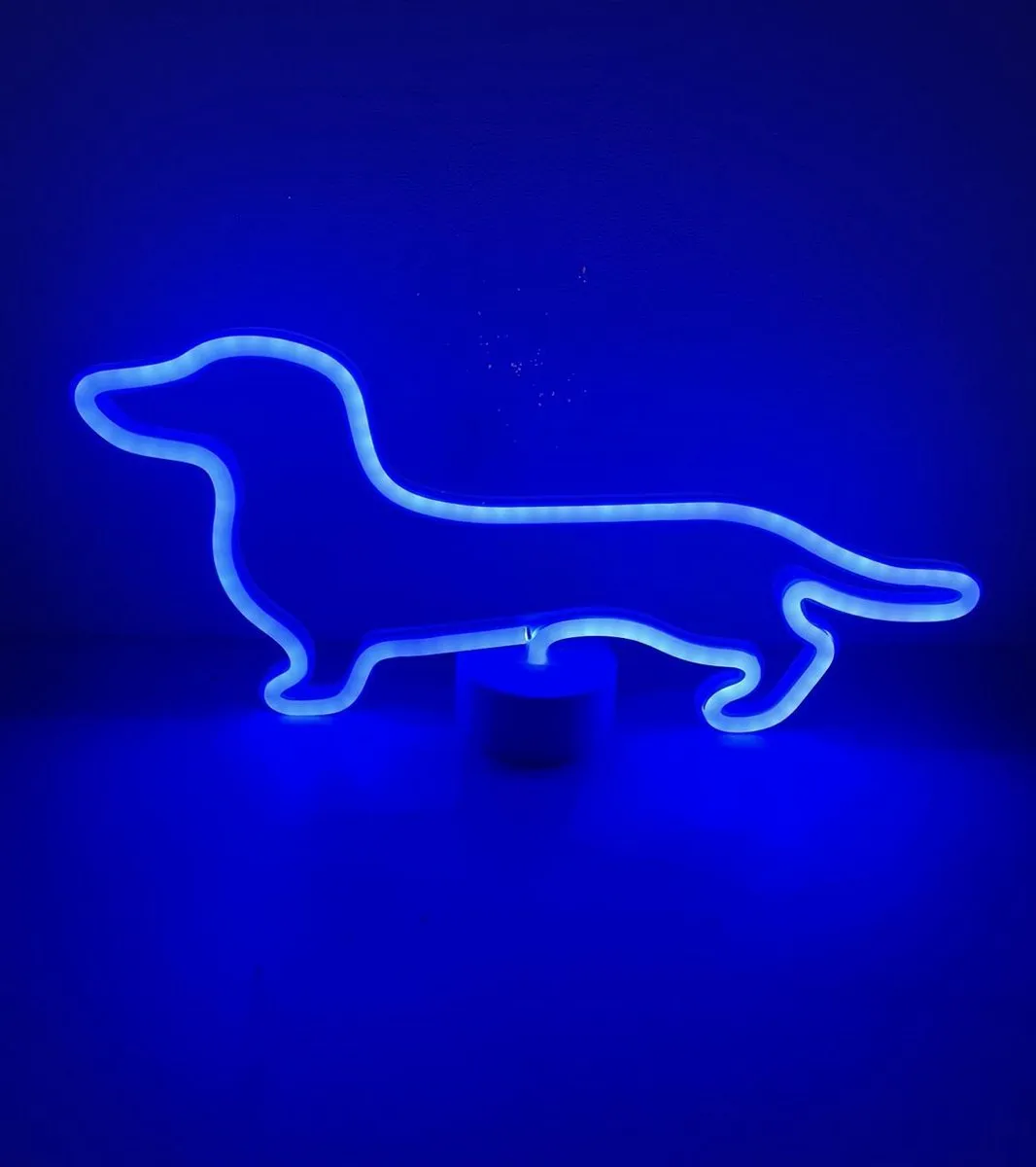 Teckel led neon lamp hond (Kleur blauw)