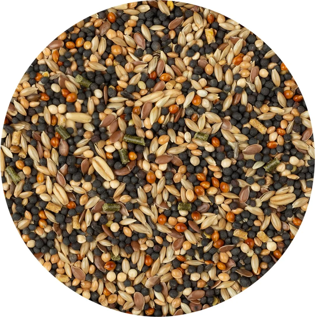 Vitakraft Menu Kanarievoer 6x500g