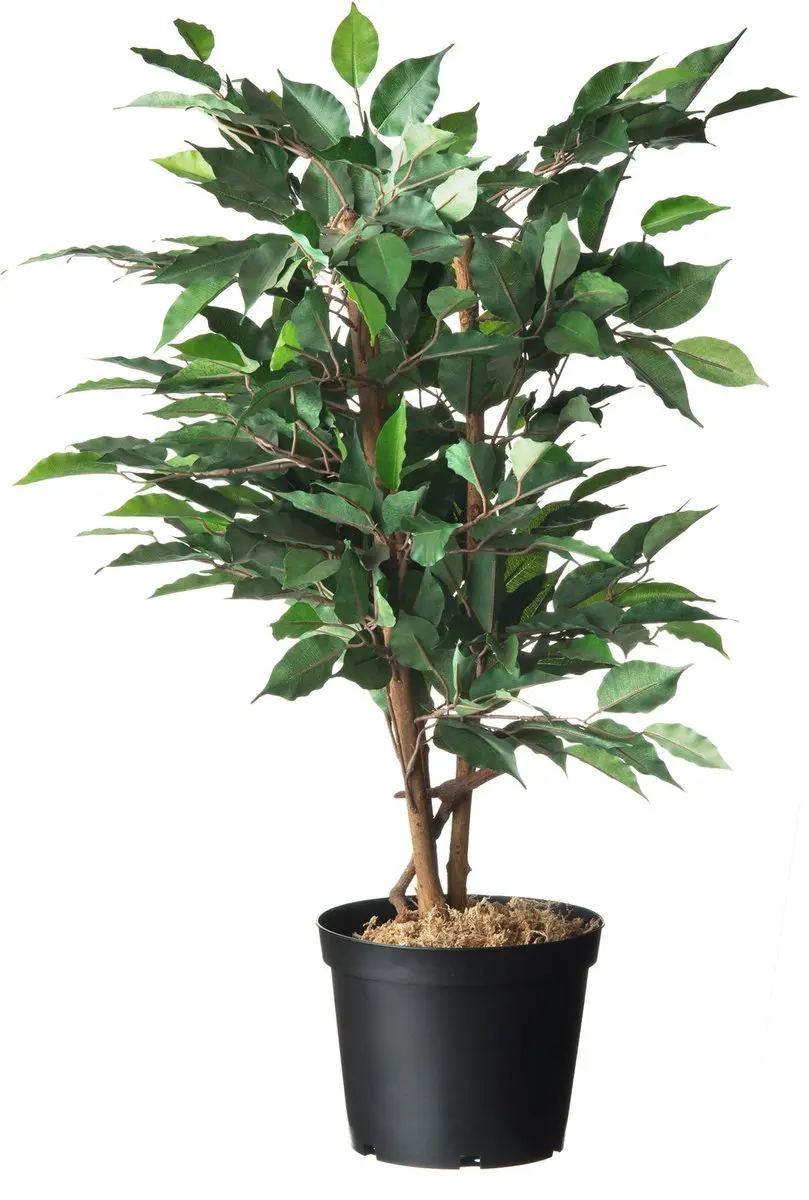 Nature Plantcontainer 22x28.4cm - Zwart - afbeelding 2 van 2