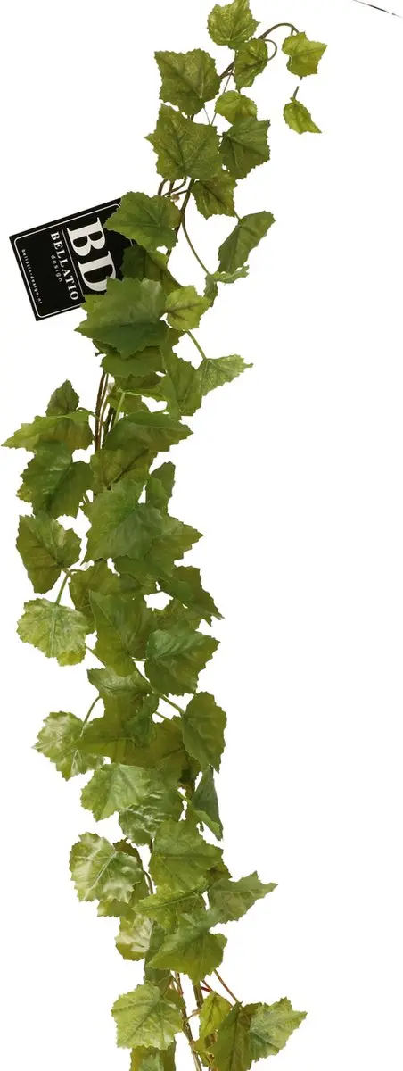 Bellatio Design kunstplant/hangplant slinger