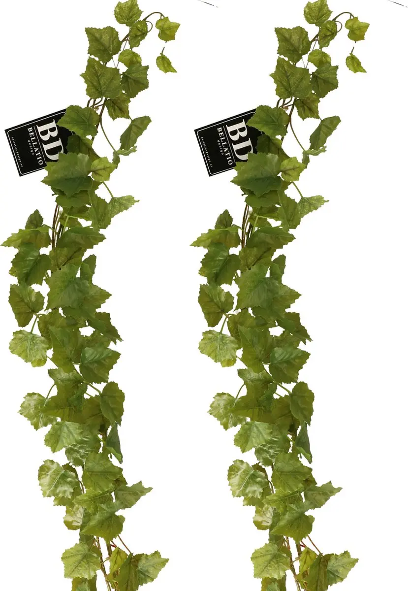 Bellatio Design kunstplant/hangplant slinger