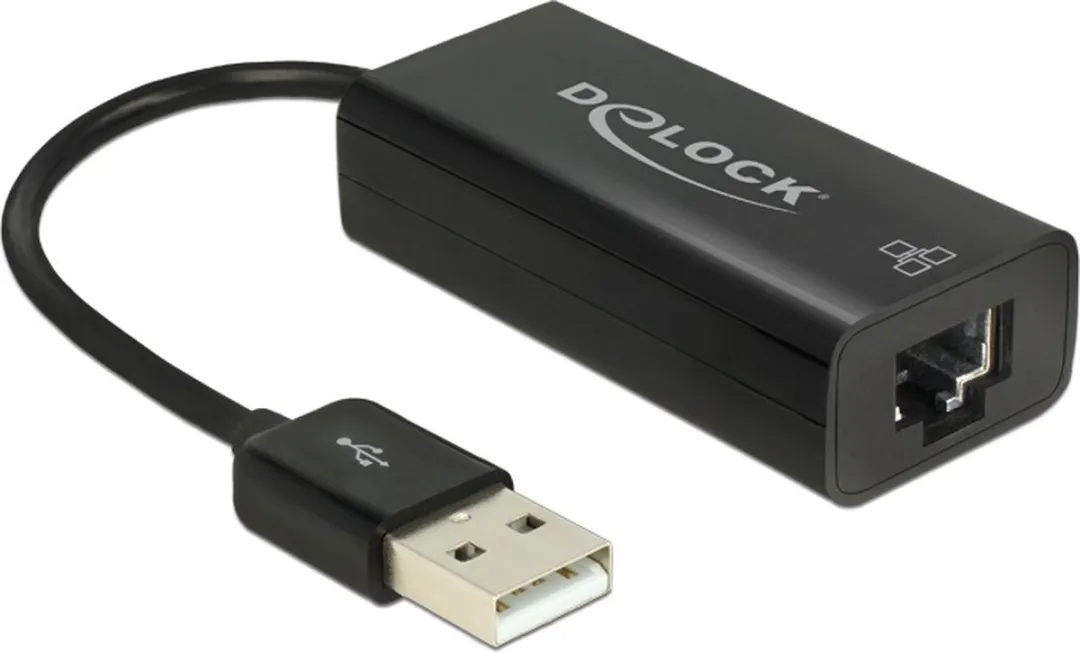 Delock USB-A naar RJ45 Fast Ethernet Adapter