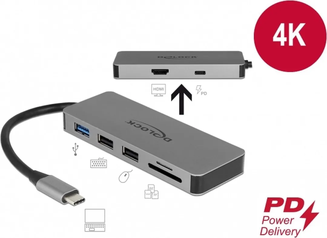 Delock 87743 USB-C Docking Station - 4K HDMI/SD - Grijs