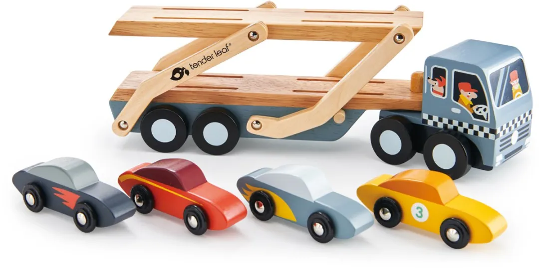 Tender Leaf Toys Autotransporter 4608346 - Multi