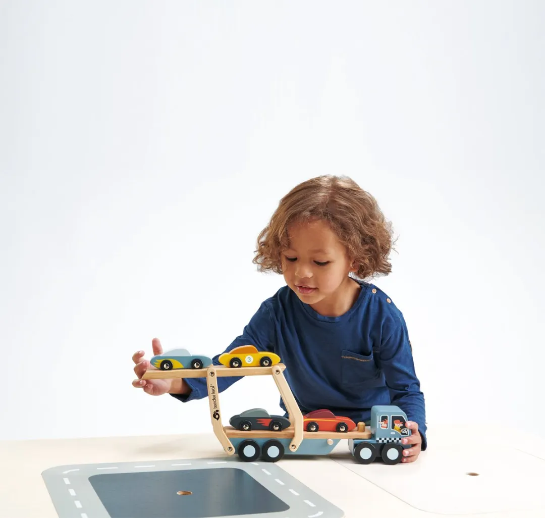 Tender Leaf Toys Autotransporter 4608346 - Multi