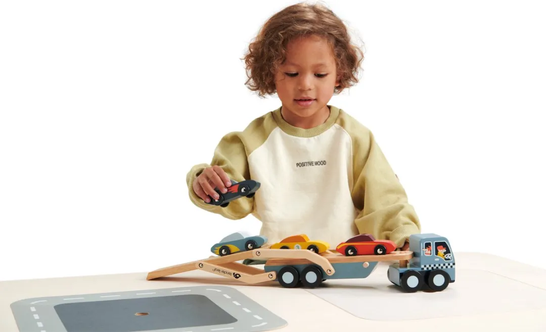 Tender Leaf Toys Autotransporter 4608346 - Multi