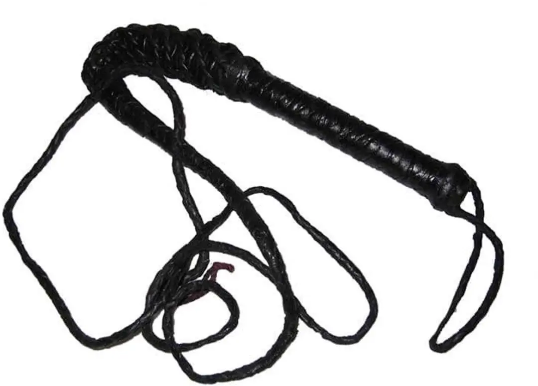 Zweep 240cm zwart