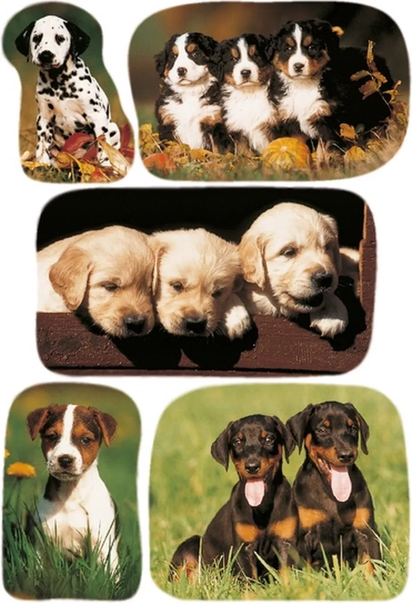 Herma 3528 Honden Etiketten