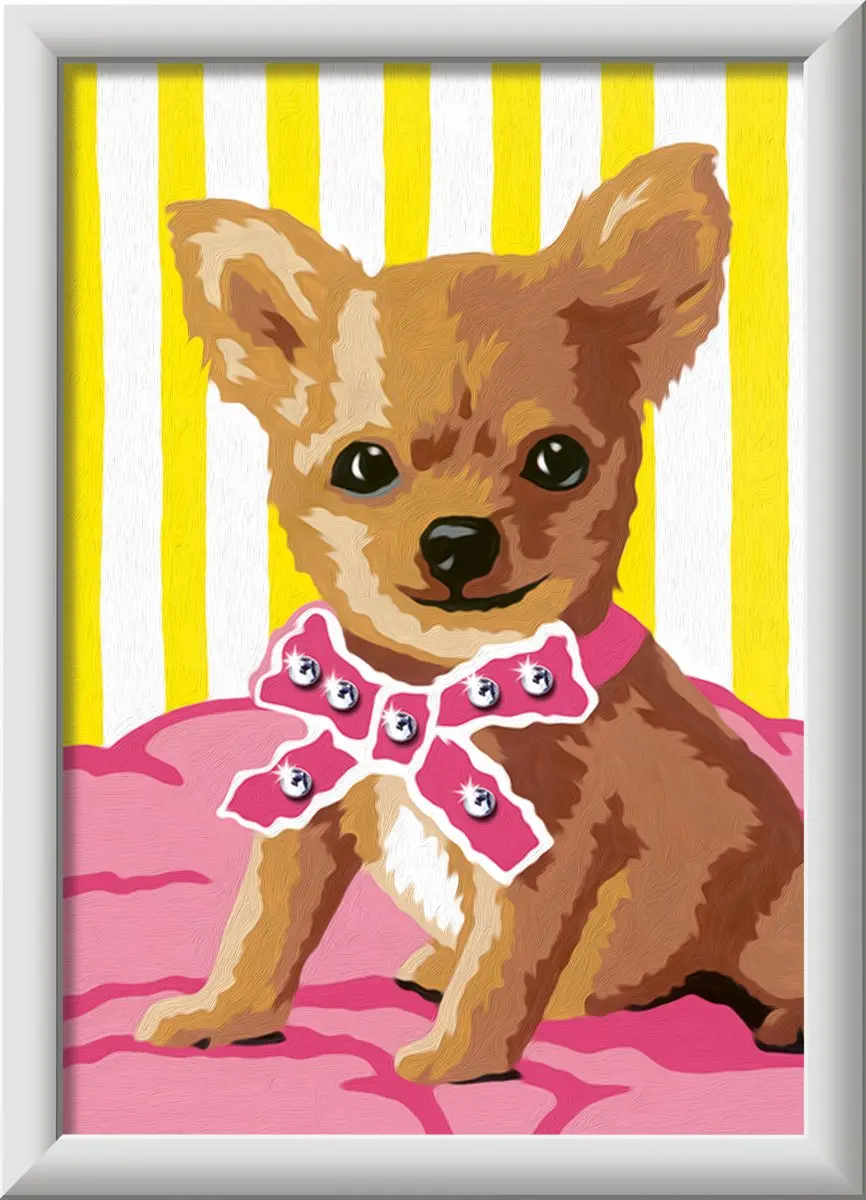 Ravensburger CreArt Little Chihuahua - Schilderen op Nummer - afbeelding 3 van 6