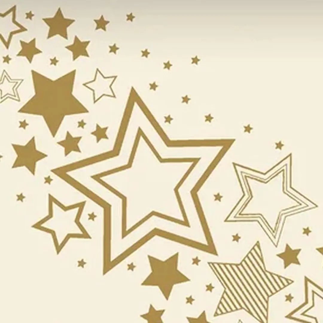 Duni Dunicel 3-in-1 Tafelloper Holiday Star 40x480cm Crème - afbeelding 2 van 2