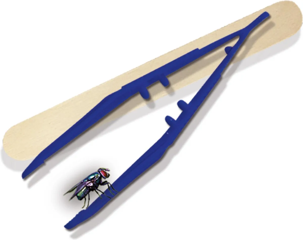 SES Creative Explore Insecten Explorer 25116 - Speelgoedset - afbeelding 6 van 6