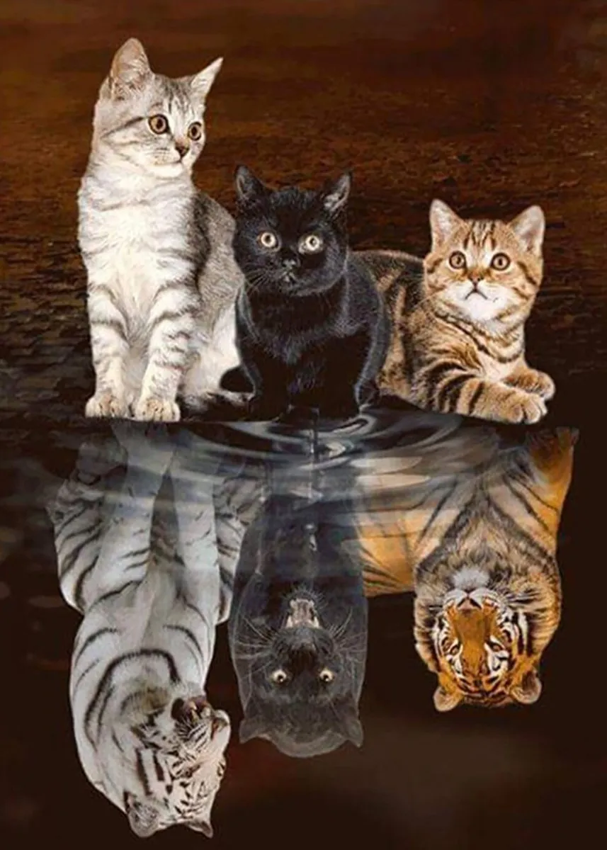 VDTOYS Diamond Painting VDT042 CATS