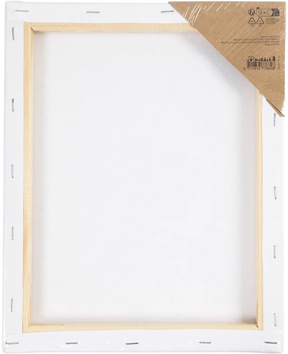 Creativ Company Schildercanvas Citrusvruchten 24x30cm - Multicolor