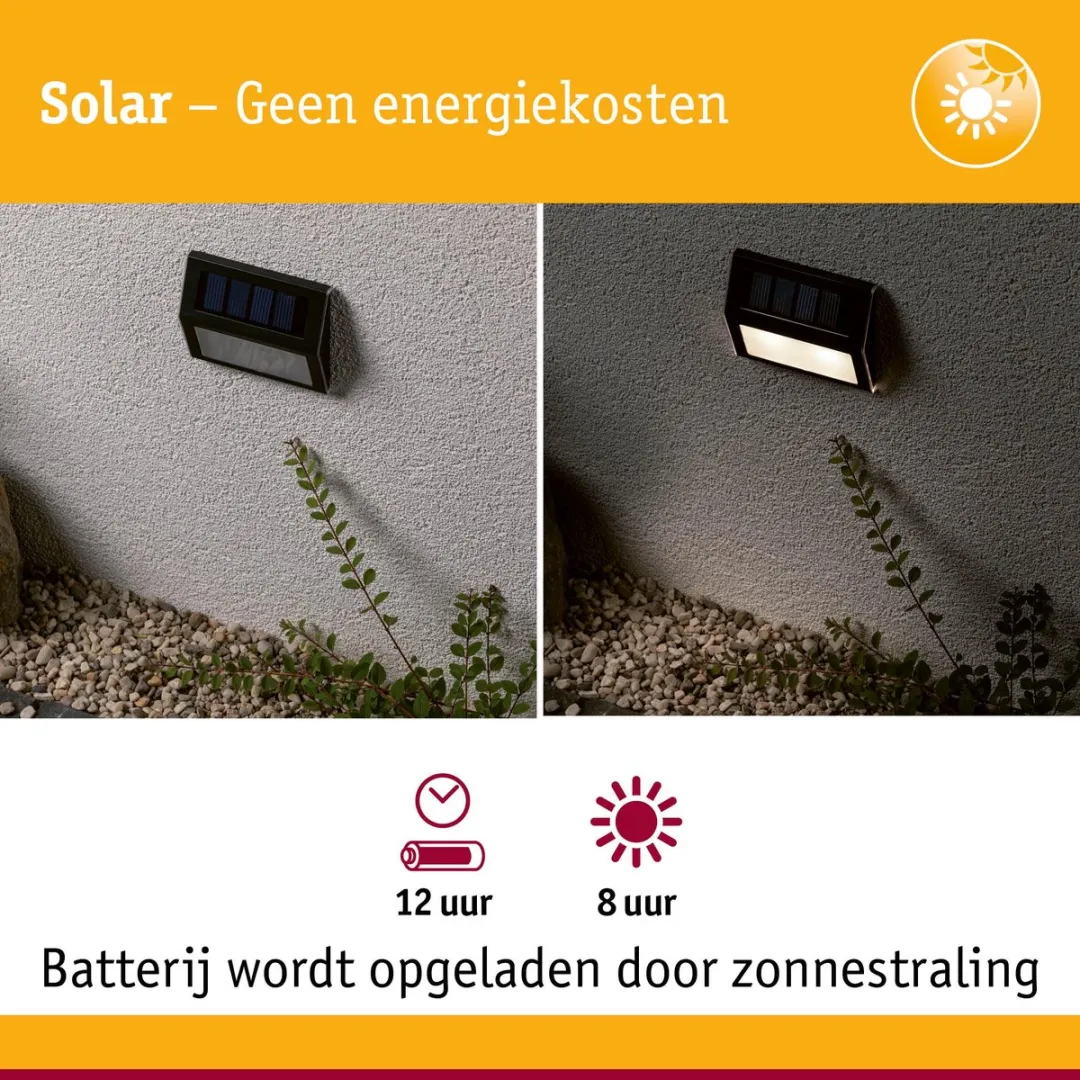 Paulmann Dayton Solar LED Traplamp 2lm - Antraciet