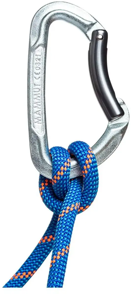 Mammut Element Steel Key Lock Karabijnhaak - 10x - Basalt - afbeelding 2 van 4